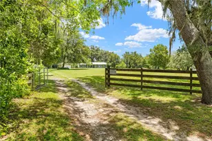 23439 Croom Rd, Brooksville, FL 34601 - Photo 48