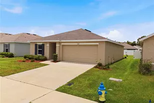13322 Golden Lime Ave, Spring Hill, FL 34609 - Photo 8