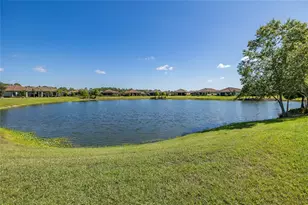 11121 Egeria Dr, Odessa, FL 33556 - Photo 82