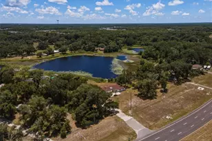18208 State Rd 52, Land O Lakes, FL 34638 - Photo 14