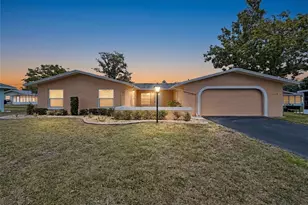 12024 Bayonet Ln, New Port Richey, FL 34654 - Photo 4