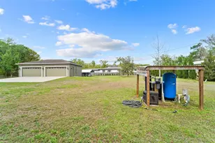 5533 Tower Rd, Land O Lakes, FL 34638 - Photo 48
