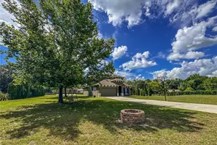 5533 Tower Rd, Land O Lakes, FL 34638 - Photo 4