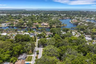 5651 Orange Grove Ave, New Port Richey, FL 34652 - Photo 8
