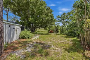 505 Bamboo Ct, Tarpon Springs, FL 34689 - Photo 70