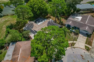 505 Bamboo Ct, Tarpon Springs, FL 34689 - Photo 88