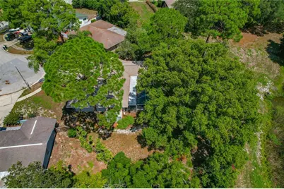 505 Bamboo Court, Tarpon Springs, FL 34689 - Photo 78