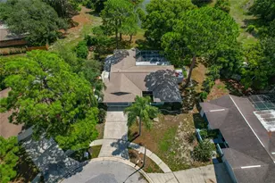 505 Bamboo Ct, Tarpon Springs, FL 34689 - Photo 82