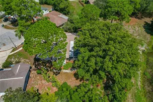 505 Bamboo Ct, Tarpon Springs, FL 34689 - Photo 86