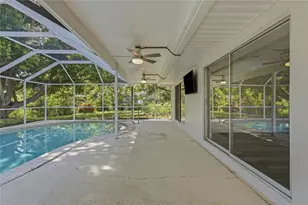 505 Bamboo Ct, Tarpon Springs, FL 34689 - Photo 60