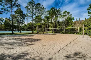 1629 Salmonberry St, Wesley Chapel, FL 33543 - Photo 68