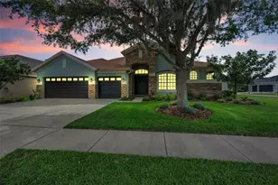 1629 Salmonberry St, Wesley Chapel, FL 33543 - Photo 4