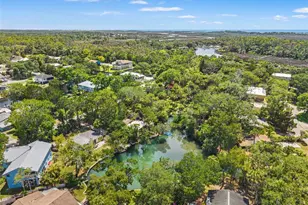 6053 Palm Creek Dr, Weeki Wachee, FL 34607 - Photo 40
