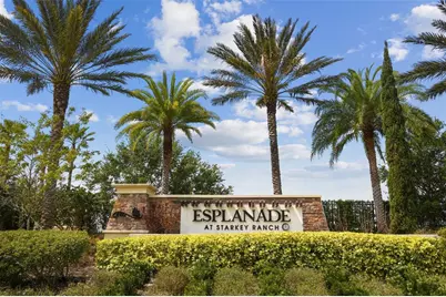 11503 Callisia Drive, Odessa, FL 33556 - Photo 2
