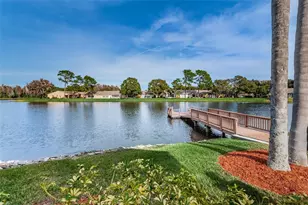 4876 Boonesboro Ct, New Port Richey, FL 34655 - Photo 56