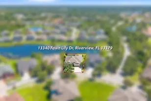 13340 Fawn Lily Dr, Riverview, FL 33579 - Photo 42