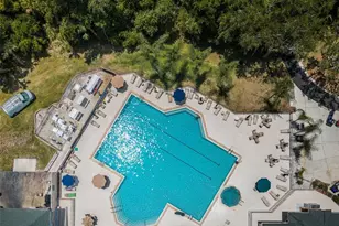 6646 Garden Palm Ct, New Port Richey, FL 34655 - Photo 66