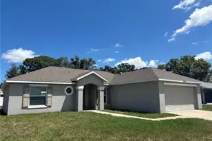 11413 Sand Hill Ave, Spring Hill, FL 34608 - Photo 2