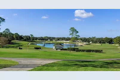 2102 Forester Way, Spring Hill, FL 34606 - Photo 48