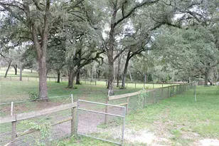 29248 Wildlife Ln, Brooksville, FL 34602 - Photo 24