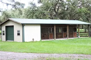 29248 Wildlife Ln, Brooksville, FL 34602 - Photo 4