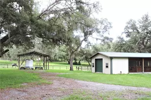 29248 Wildlife Ln, Brooksville, FL 34602 - Photo 28