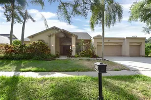 4763 Brayton Terrace N, Palm Harbor, FL 34685 - Photo 1