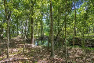 24050 Cortez Blvd, Brooksville, FL 34601 - Photo 46