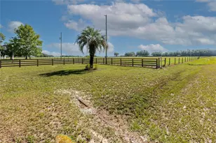 24063 Hayman Rd, Brooksville, FL 34602 - Photo 14