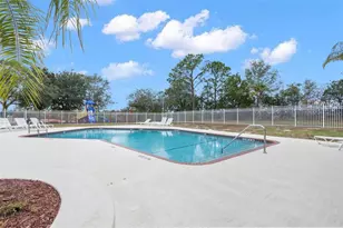 13248 Linzia Ln, Spring Hill, FL 34609 - Photo 56