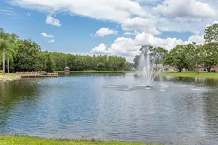 9052 Arundle Pl, New Port Richey, FL 34655 - Photo 44