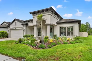 8320 Bluevine Sky Dr, Land O Lakes, FL 34637 - Photo 2