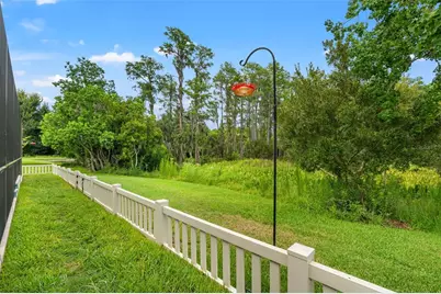 8320 Bluevine Sky Drive, Land O Lakes, FL 34637 - Photo 34