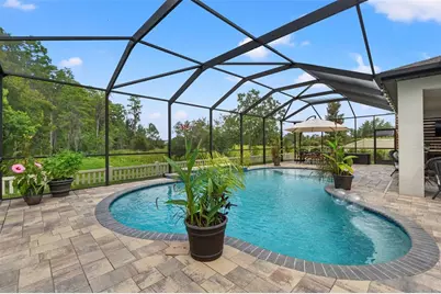 8320 Bluevine Sky Drive, Land O Lakes, FL 34637 - Photo 32