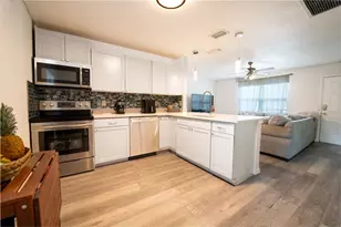7407 Mt Vernon Rd, Tampa, FL 33625 - Photo 2