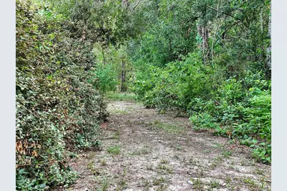 0 Fort Dade Avenue, Brooksville, FL 34601 - Photo 4