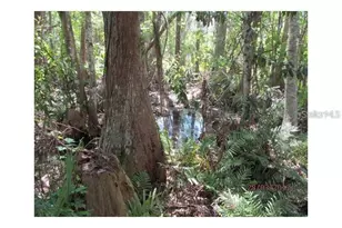 8944 Marigold Dr, New Port Richey, FL 34654 - Photo 32