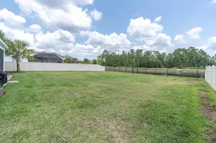 4188 Barbour Trl, Odessa, FL 33556 - Photo 46