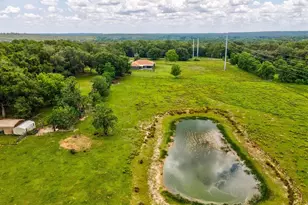 6413 Emerson Rd, Brooksville, FL 34601 - Photo 56