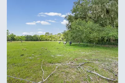 6413 Emerson Road, Brooksville, FL 34601 - Photo 48
