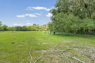 6413 Emerson Rd, Brooksville, FL 34601 - Photo 48