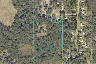 3415 Cr 679, Webster, FL 33597 - Photo 2