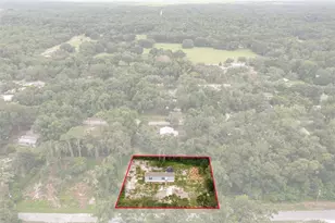 4363 Cr 690, Webster, FL 33597 - Photo 2