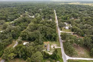 4363 Cr 690, Webster, FL 33597 - Photo 32