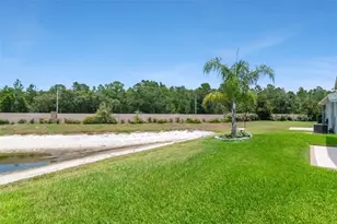 10029 Brookdale Dr, New Port Richey, FL 34655 - Photo 32