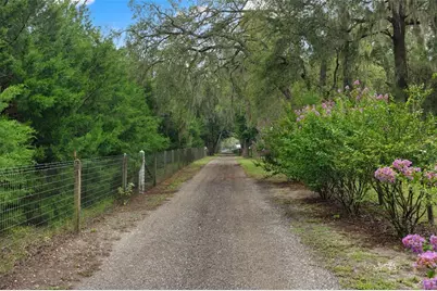 17163 Benes Roush Road, Brooksville, FL 34604 - Photo 70