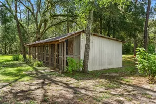17163 Benes Roush Rd, Brooksville, FL 34604 - Photo 60