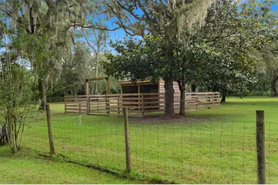 17163 Benes Roush Road, Brooksville, FL 34604 - Photo 56