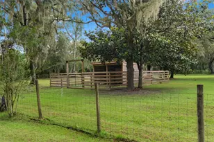 17163 Benes Roush Rd, Brooksville, FL 34604 - Photo 56