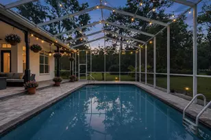 17163 Benes Roush Rd, Brooksville, FL 34604 - Photo 72